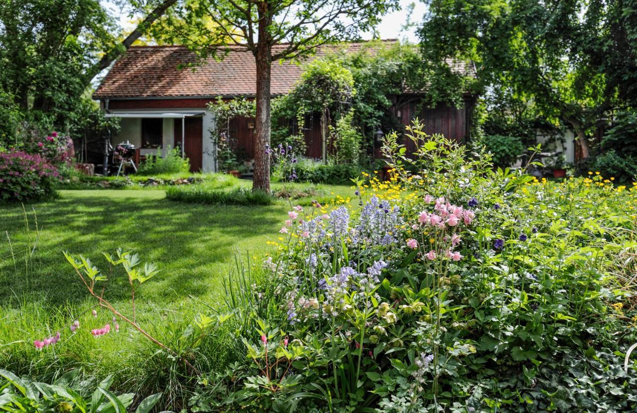 Münzenberg Ferienhaus Burgblick מראה חיצוני תמונה