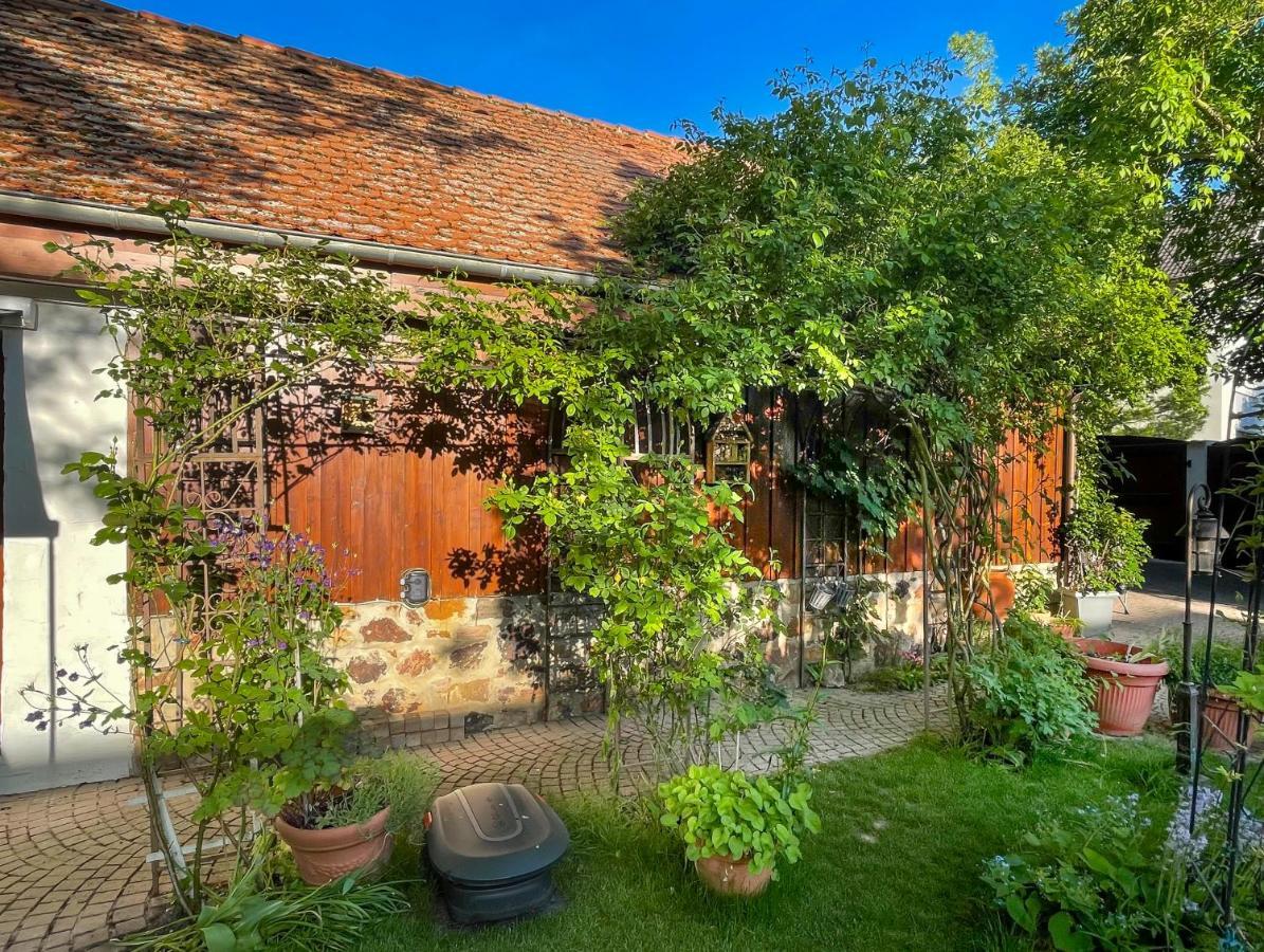 Münzenberg Ferienhaus Burgblick מראה חיצוני תמונה
