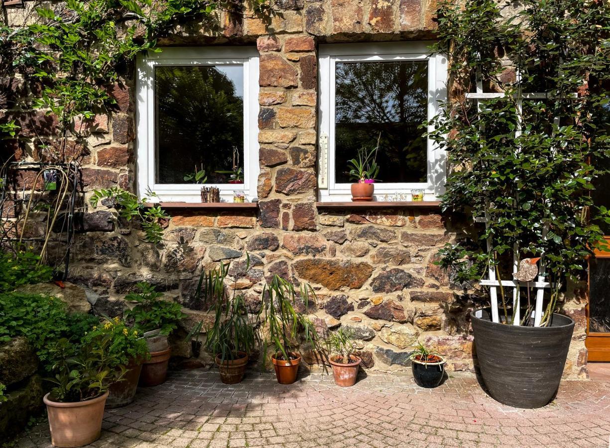 Münzenberg Ferienhaus Burgblick מראה חיצוני תמונה